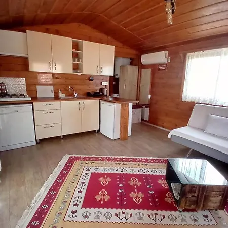 Defnewoodhome Apartment Bodrum